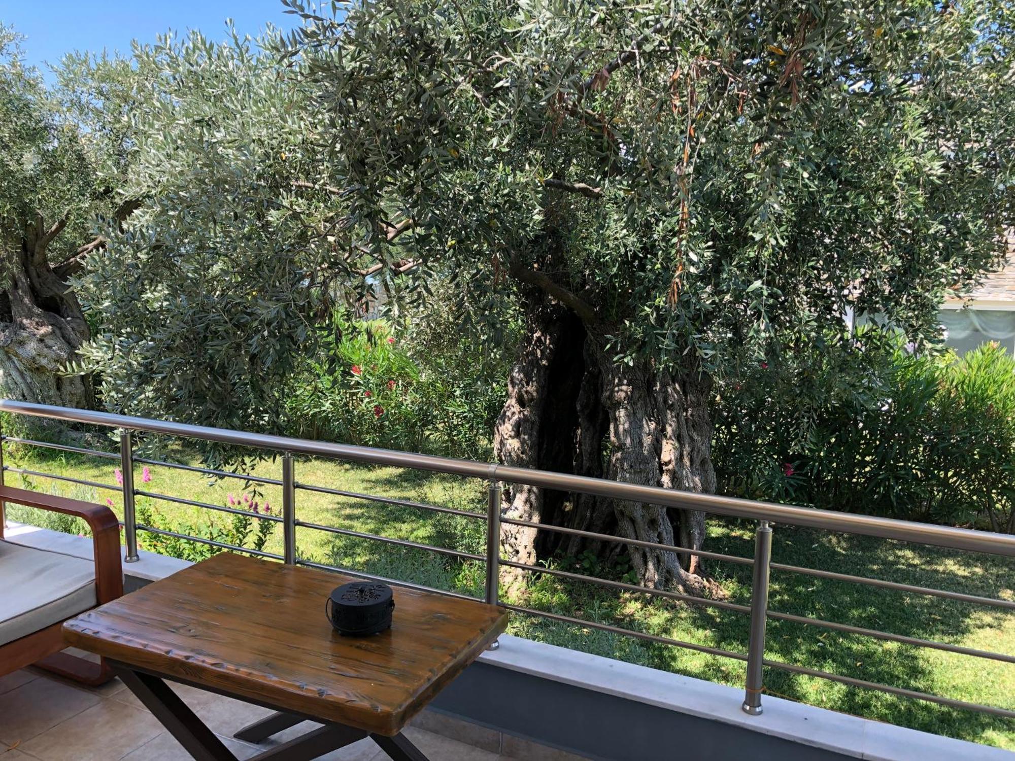 Villa Arhondula Πρίνος Εξωτερικό φωτογραφία