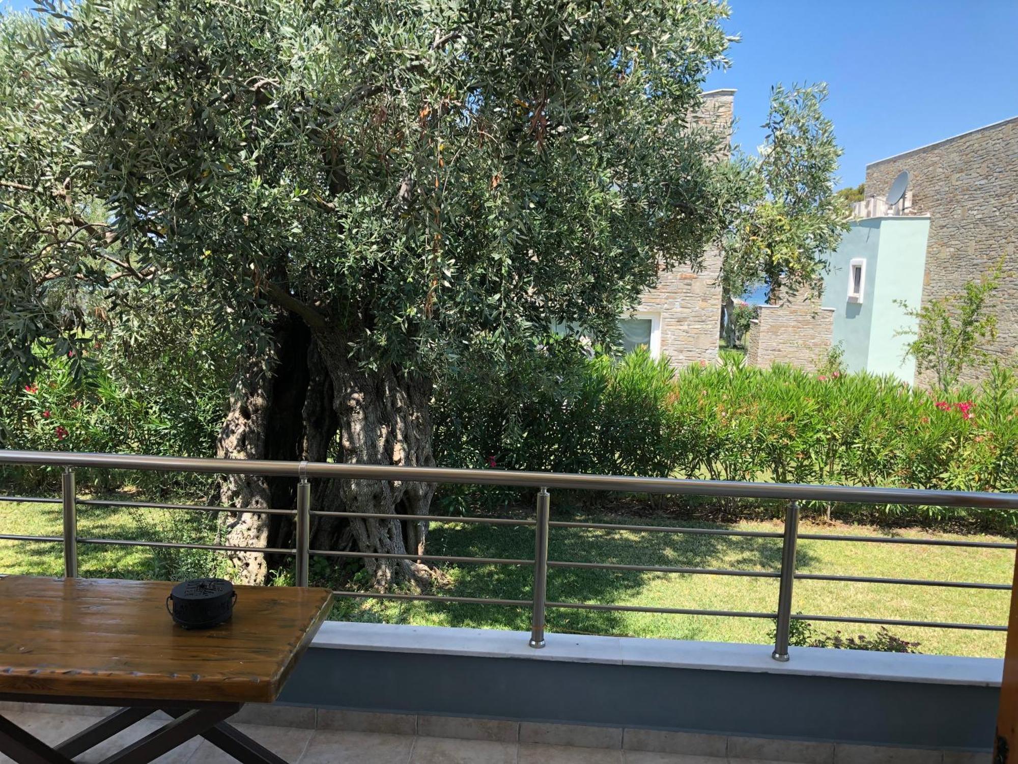 Villa Arhondula Πρίνος Εξωτερικό φωτογραφία