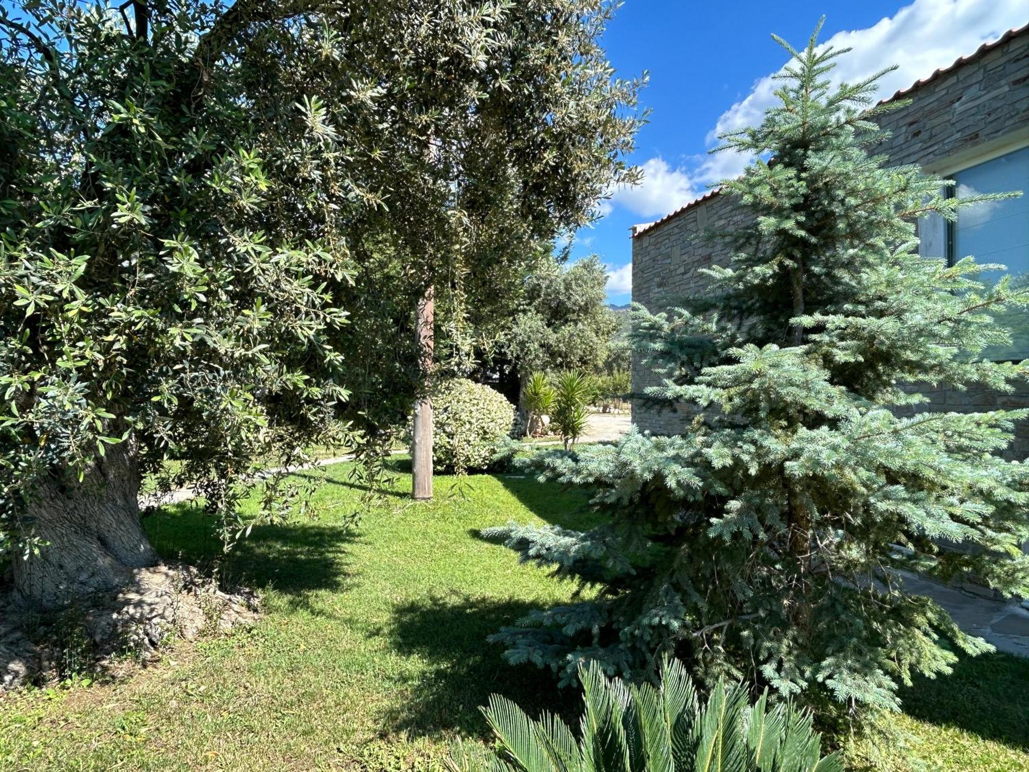 Villa Arhondula Πρίνος Εξωτερικό φωτογραφία