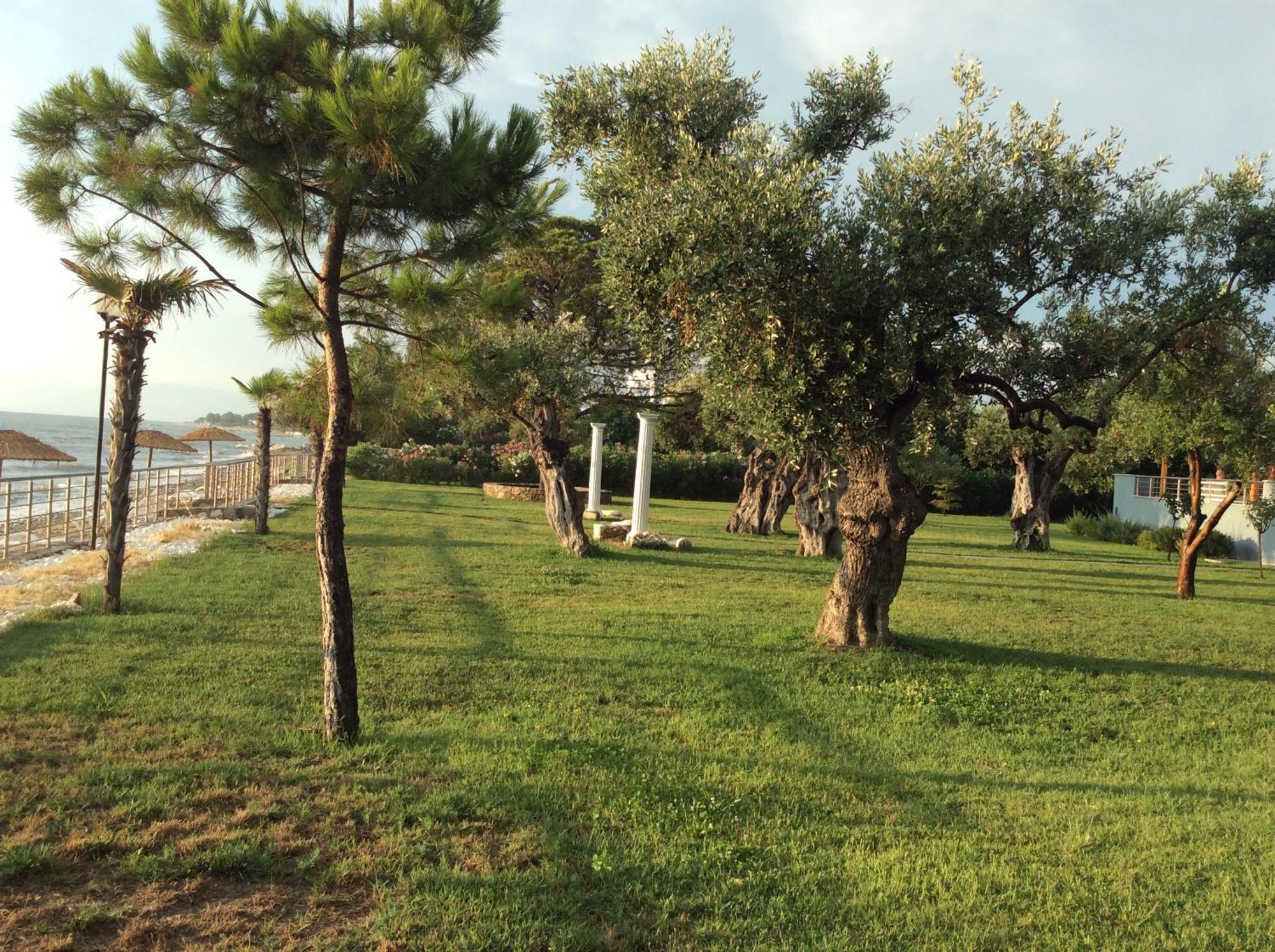 Villa Arhondula Πρίνος Εξωτερικό φωτογραφία