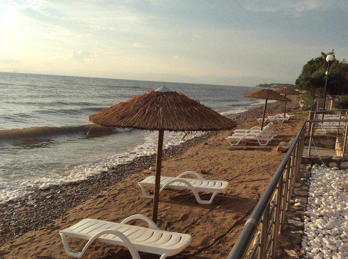 Villa Arhondula Πρίνος Εξωτερικό φωτογραφία